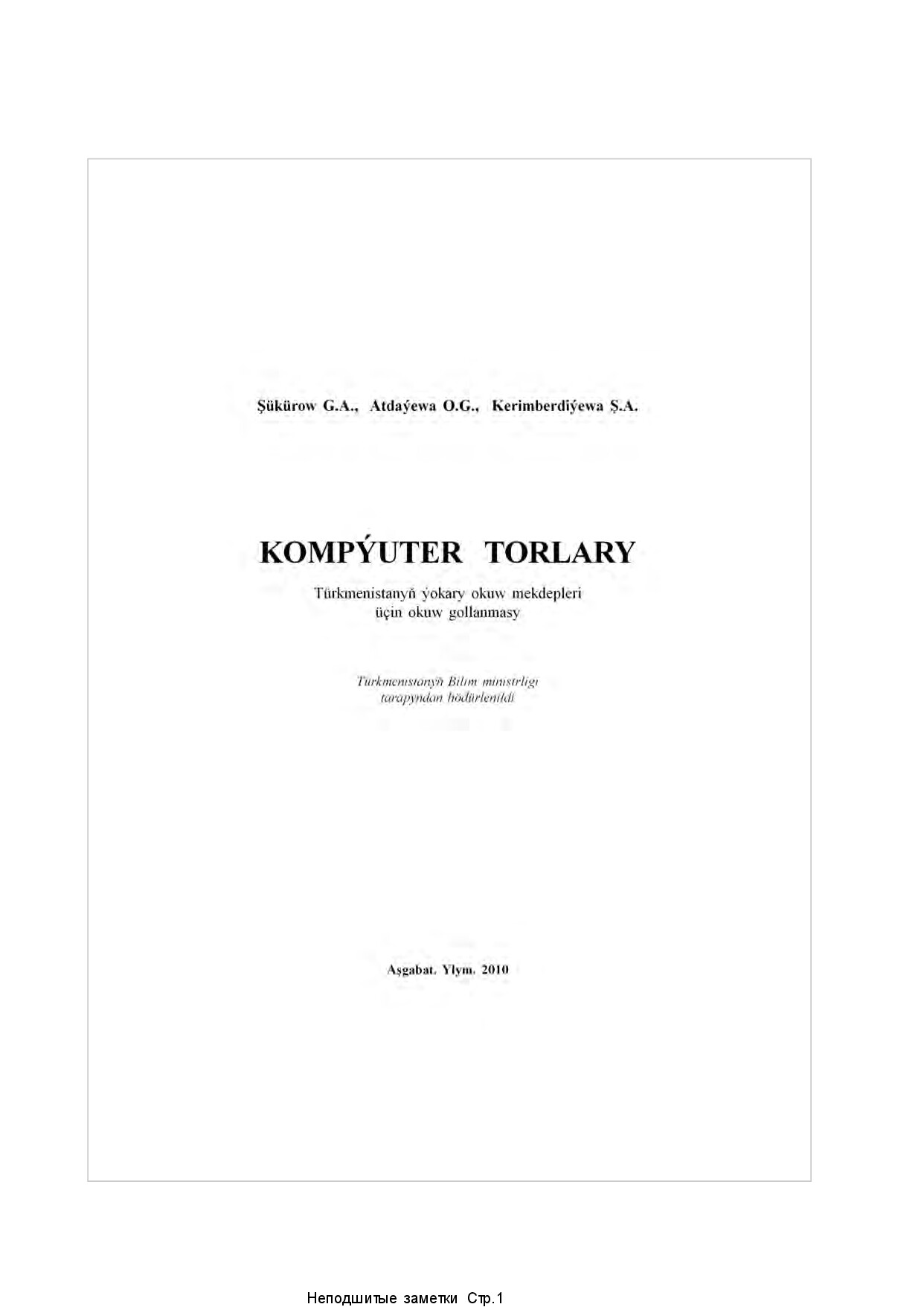 KOMPÝUTER TORLARY