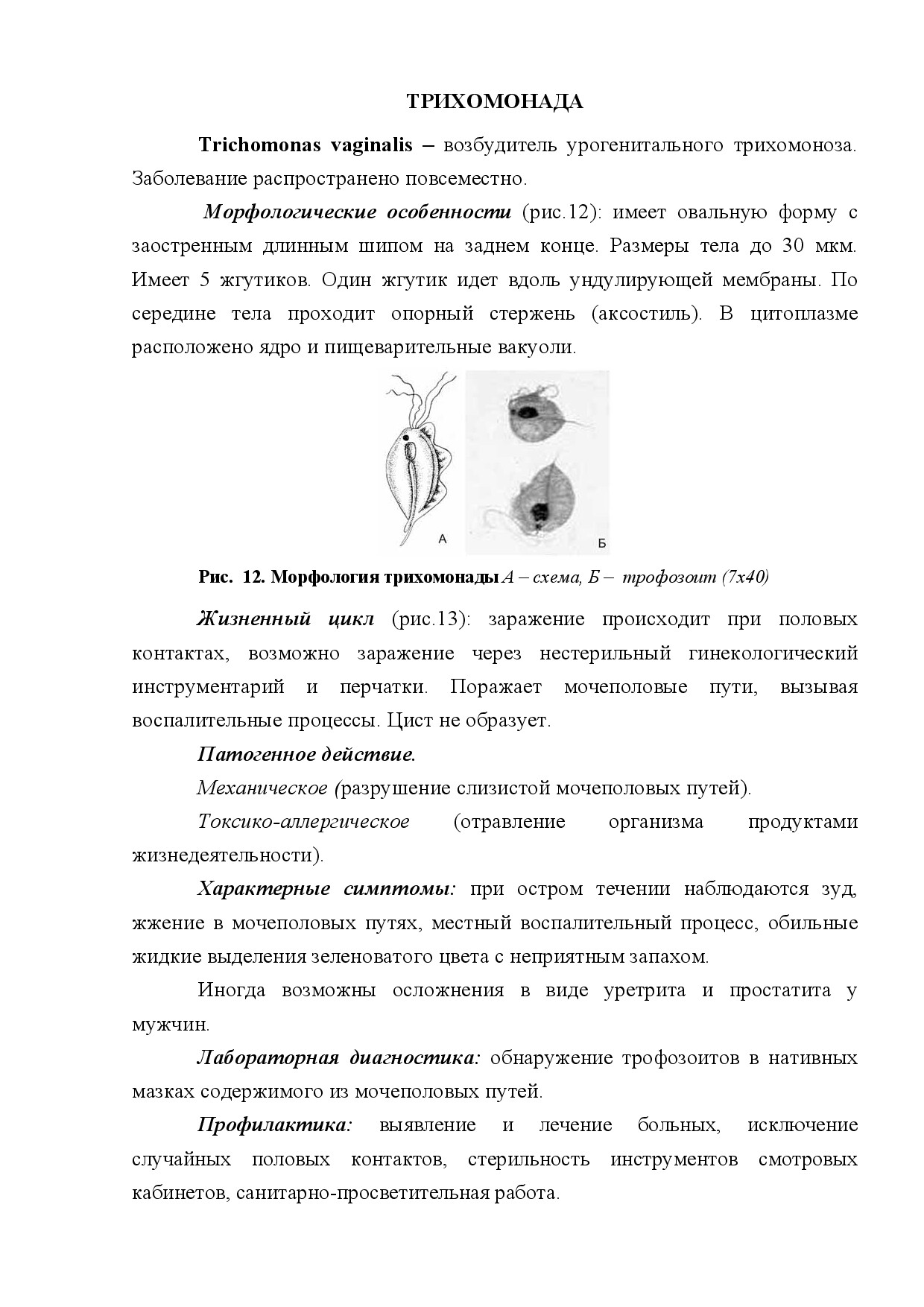 ТРИХОМОНАДА (TRICHOMONAS VAGINALIS)