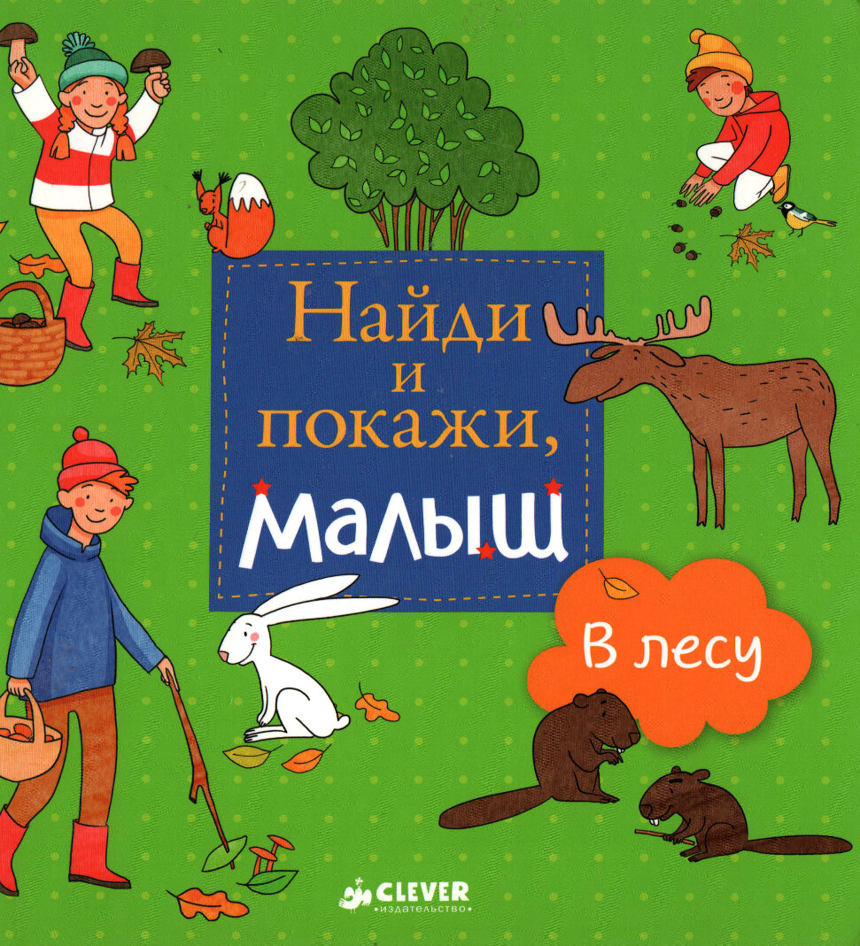 NAYDI I POKAZHI MALYSH V LESU