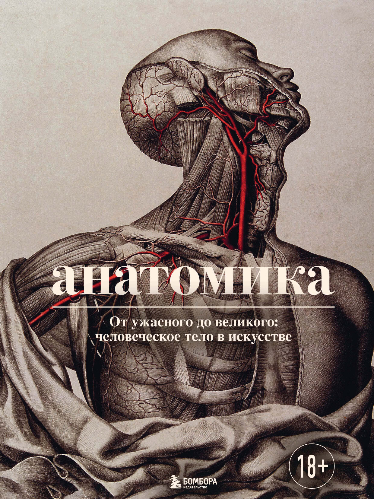 АНАТОМИКА