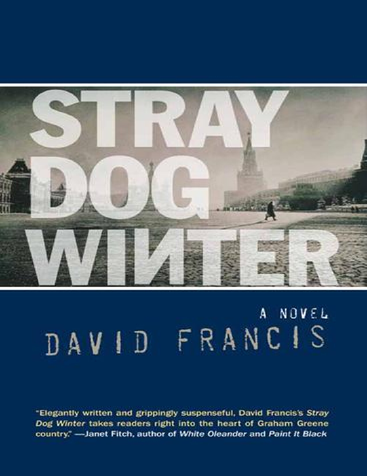 STRAY DOG WINTER   DAVID FRANCIS