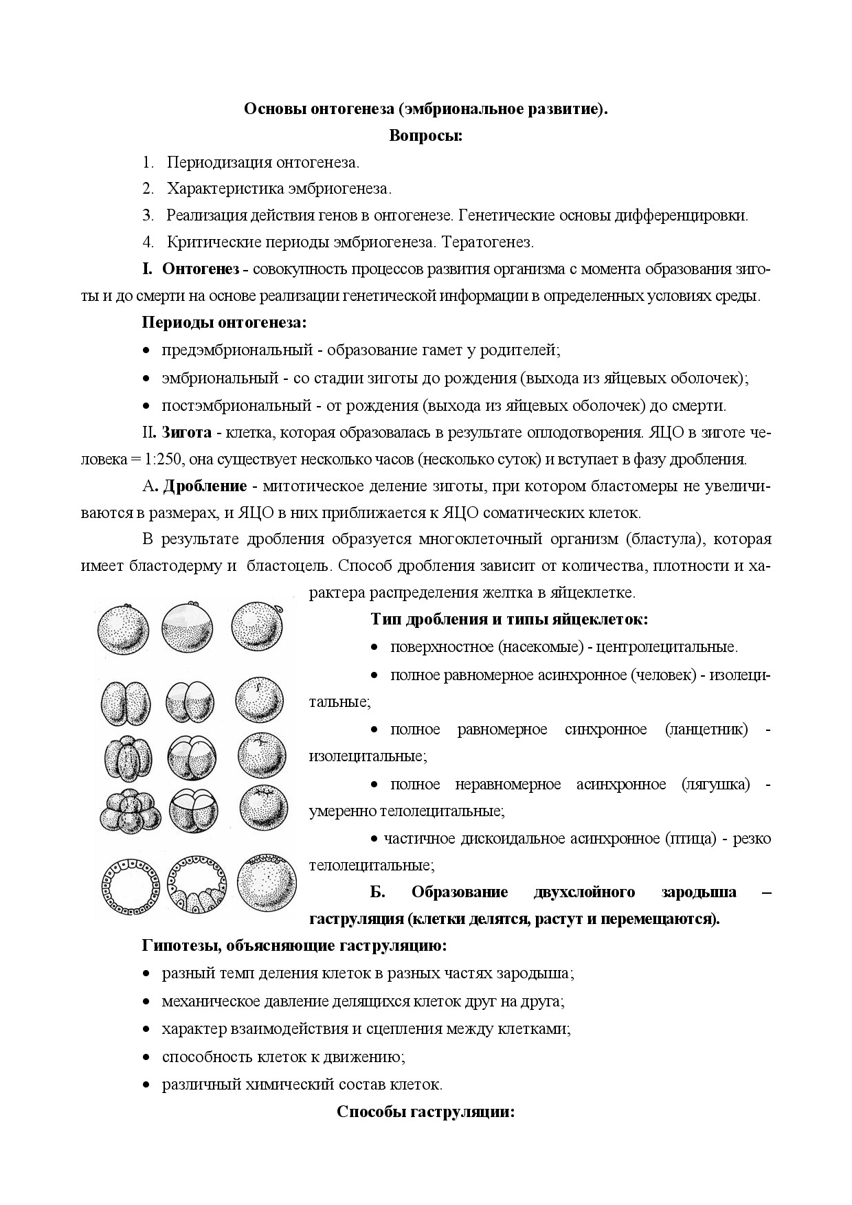 1.14.ОСНОВЫ ОНТОГЕНЕЗА 1 (ЭМБРИОНАЛЬНОЕ РАЗВИТИЕ)