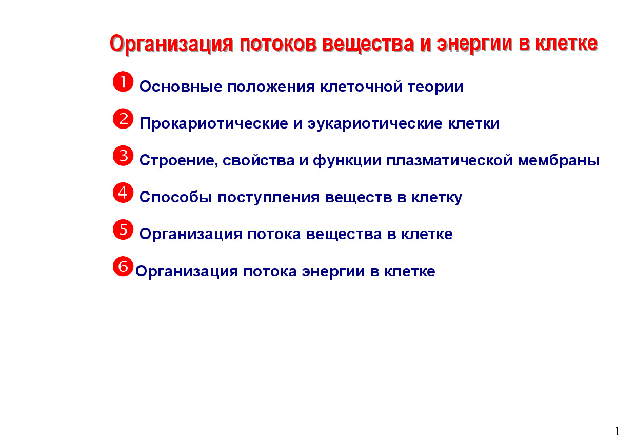 ЛЕКЦИЯ 2