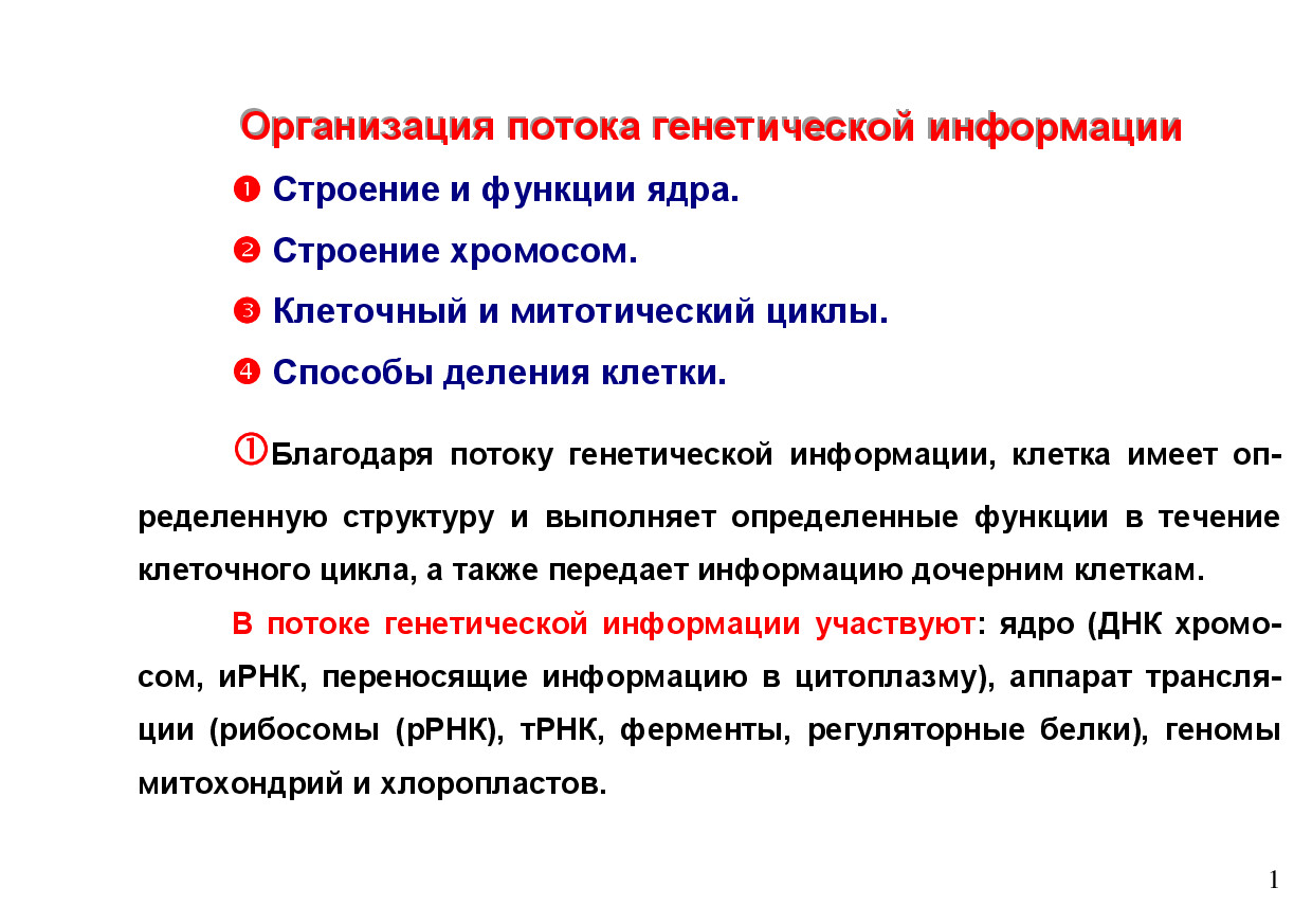 ЛЕКЦИЯ 3