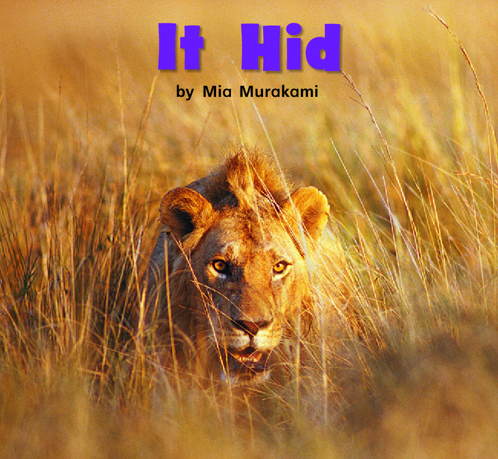 IT HID