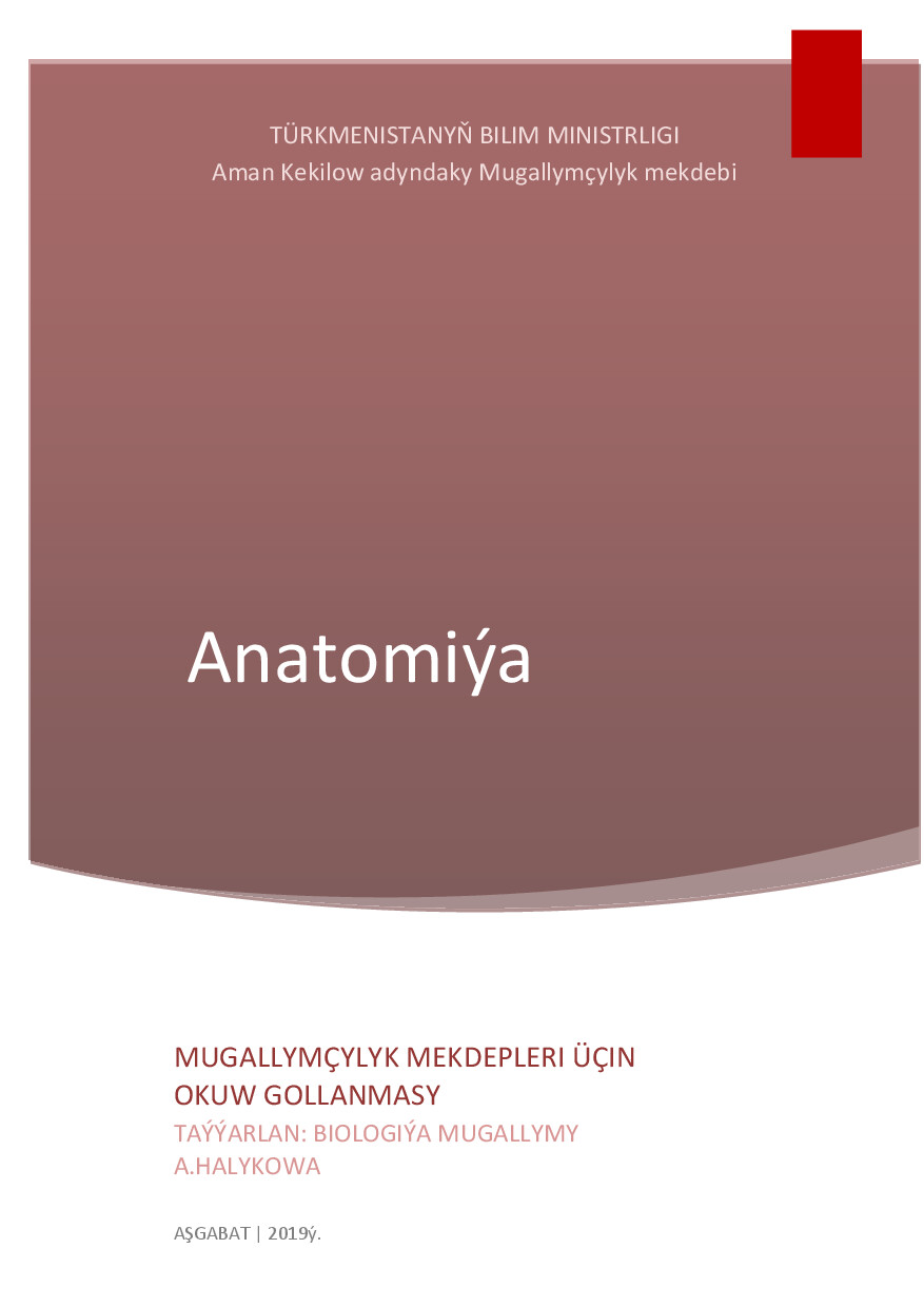 ANATOMIÝA