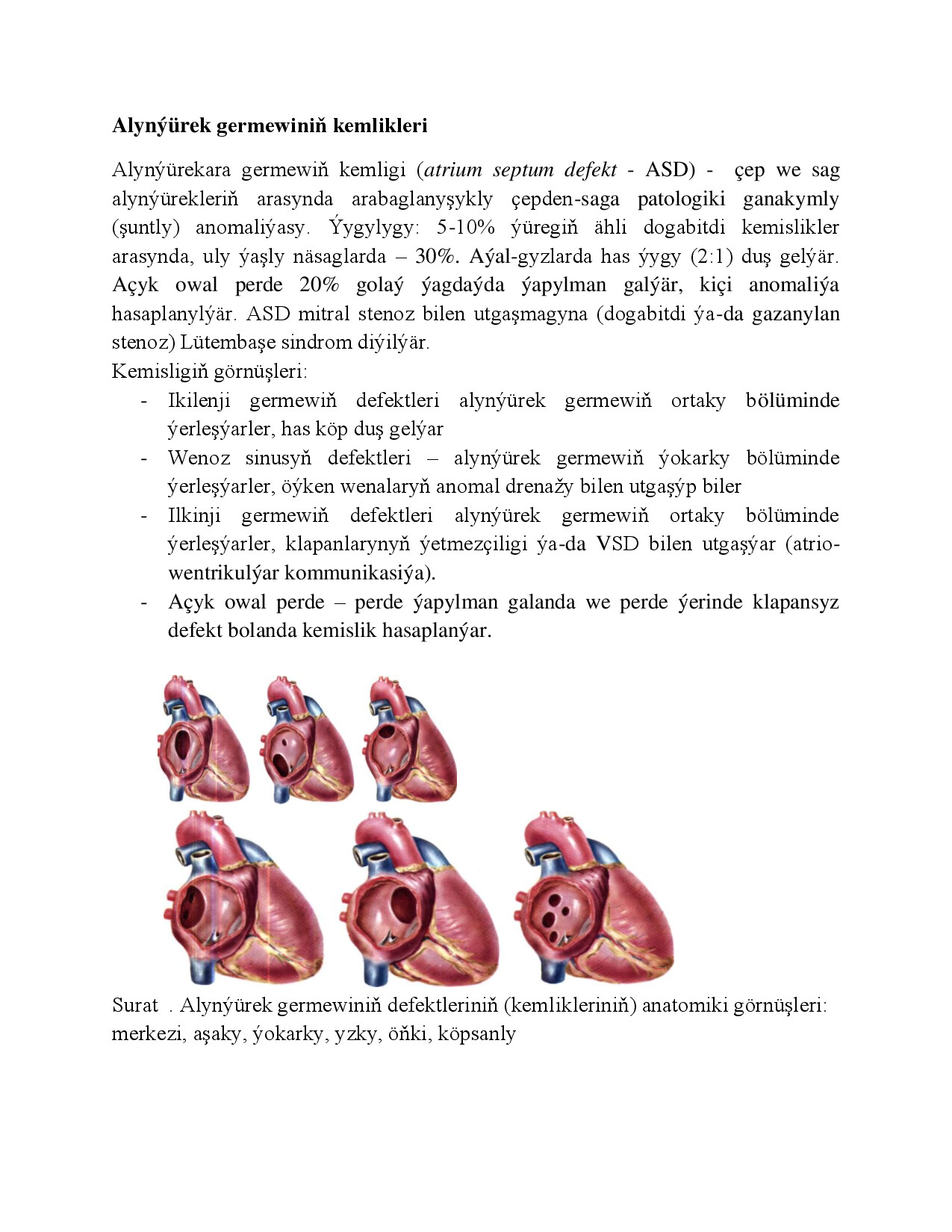 ÝÜREK  GERMEWINIŇ KEMLIKLERI