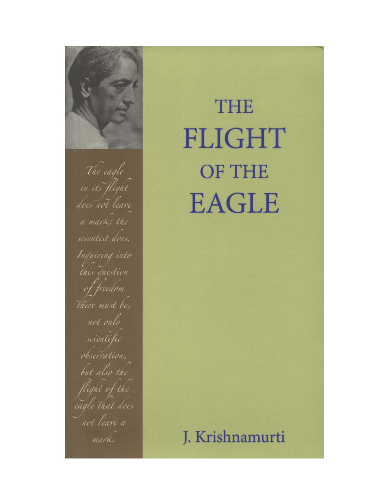 THE FLIGHT OF THE EAGLE