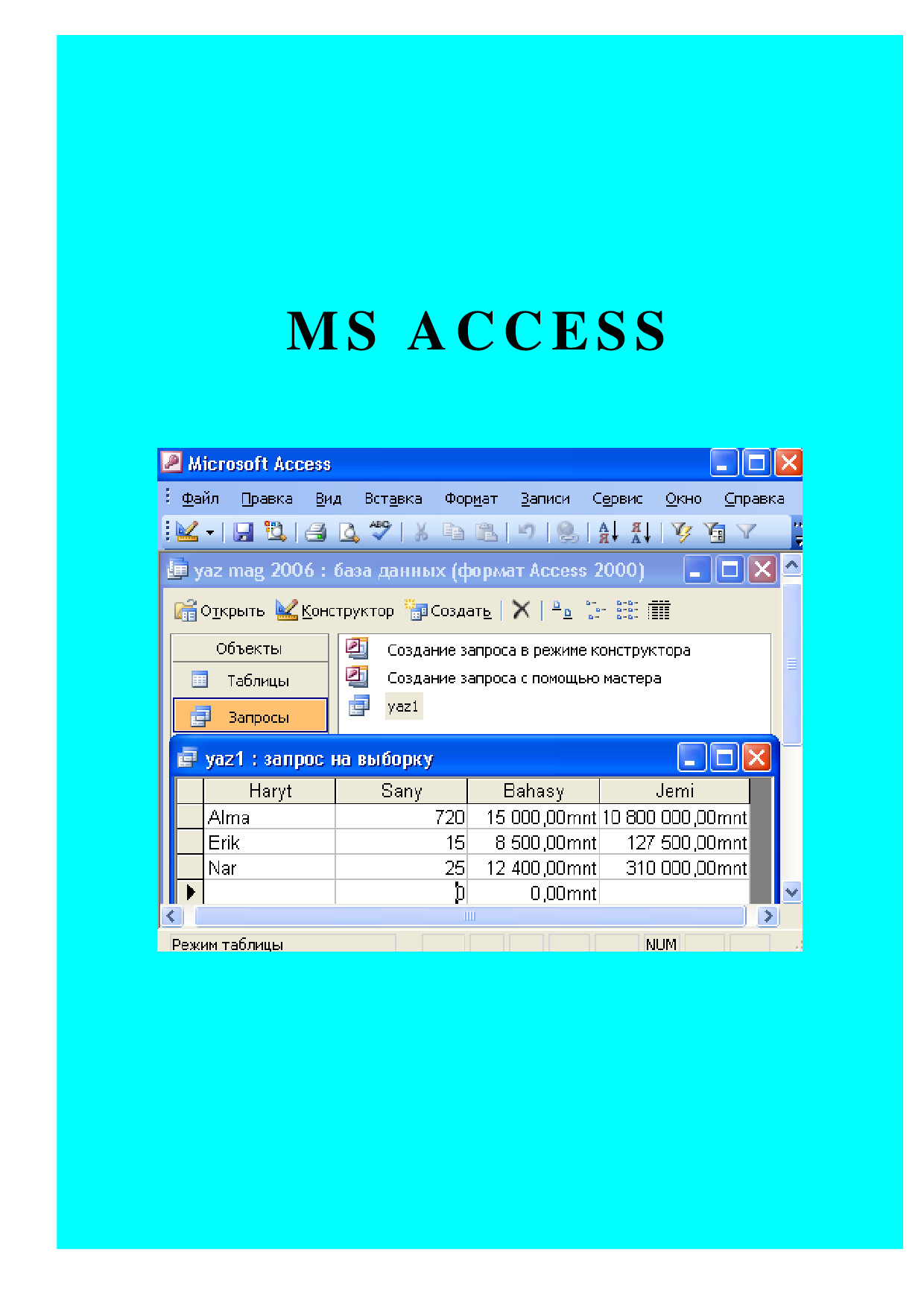 MS ACCESS