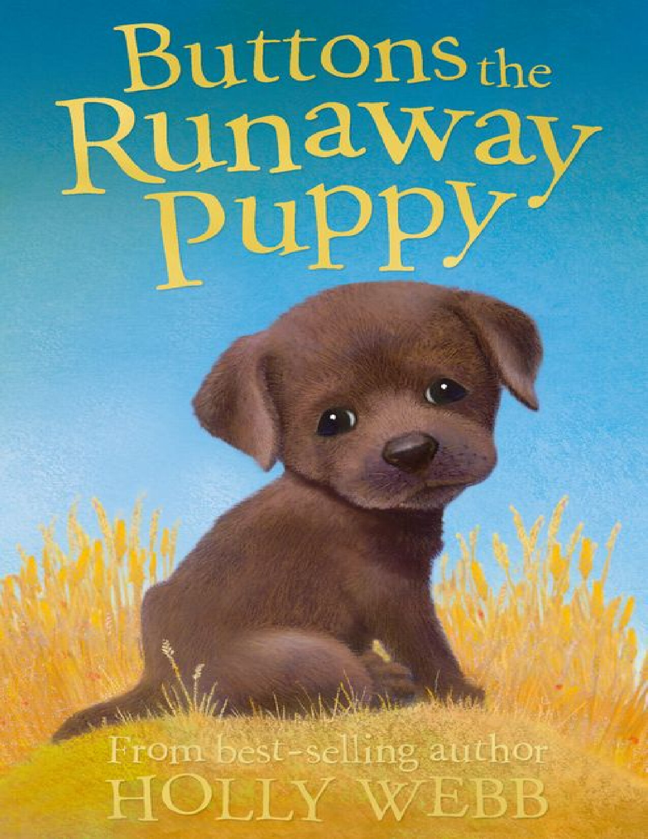 BUTTONS THE RUNAWAY PUPPY   HOLLY WEBB