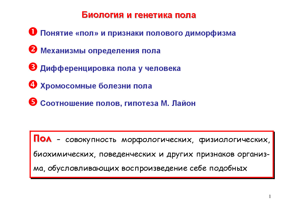ЛЕКЦИЯ 9