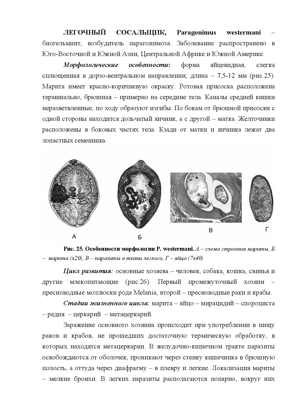 ЛЕГОЧНЫЙ СОСАЛЬЩИК (PARAGONIMUS WESTERMANI)