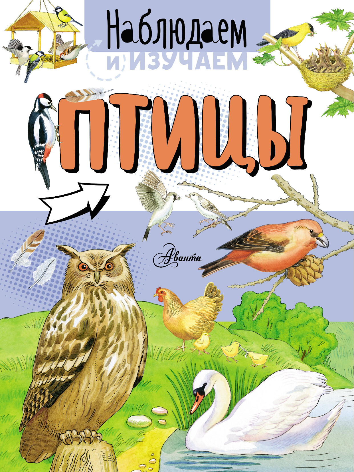 ПТИЦЫ