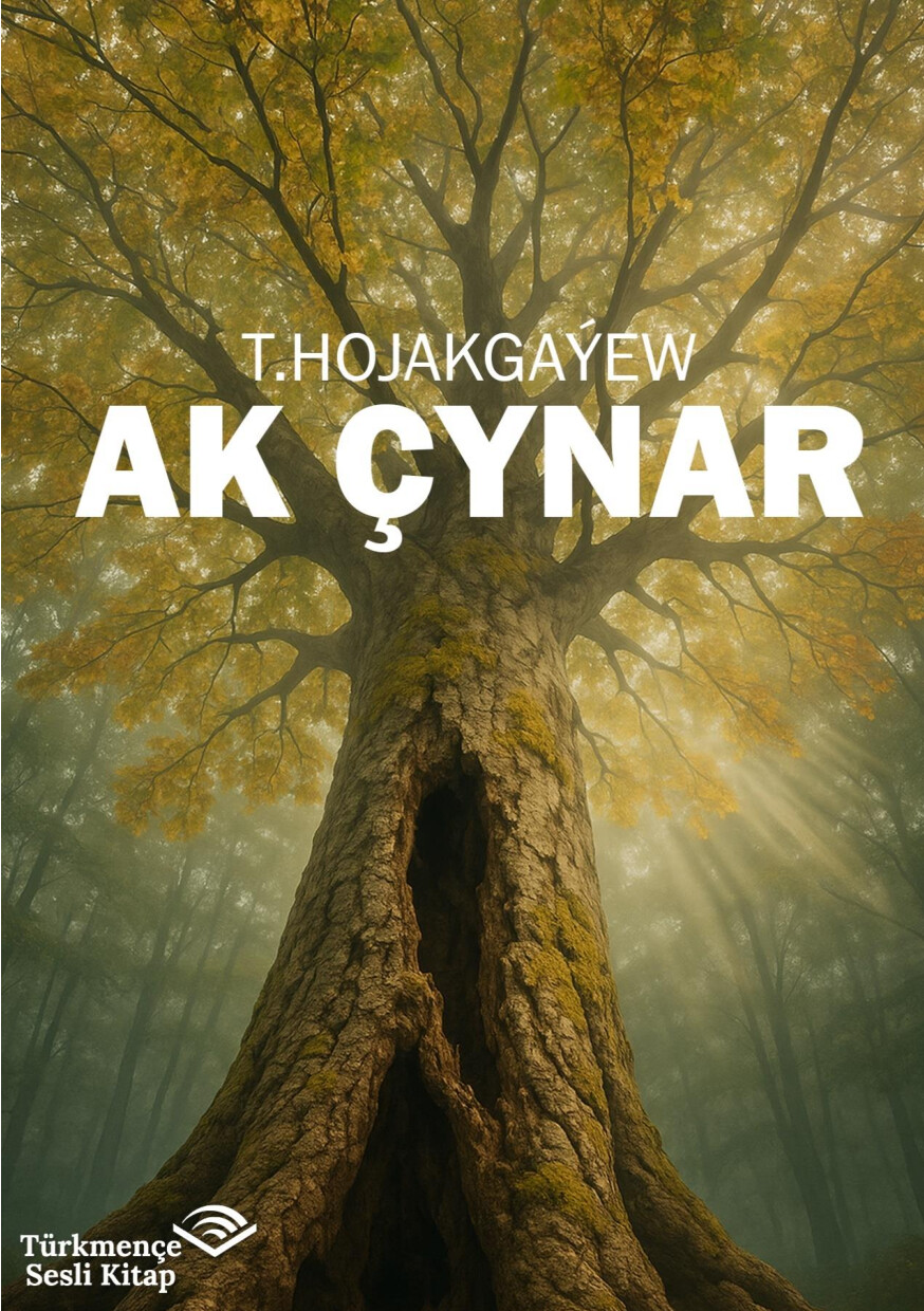 AK ÇYNAR