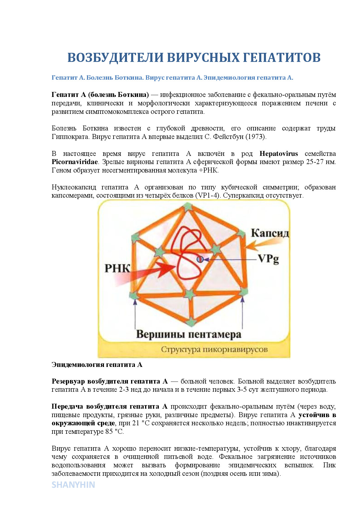 VOZBUDITELI VIRUSNYKH GEPATITOV