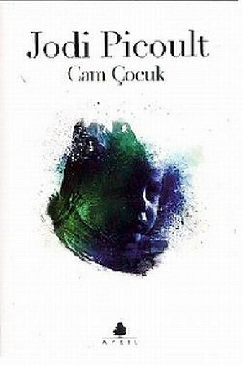 JODI PICOULT   CAM ÇOCUK