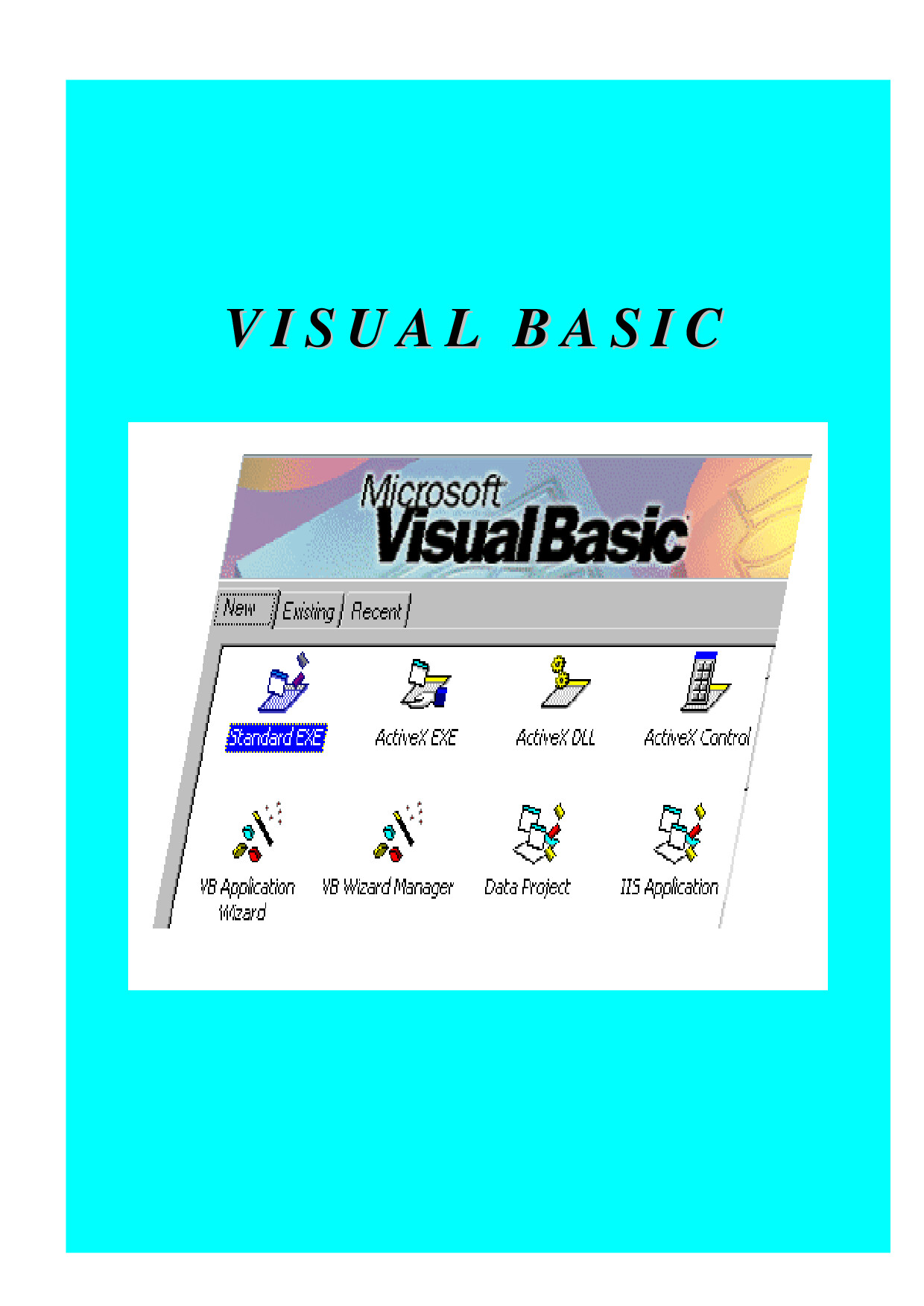 VISUAL BASIC