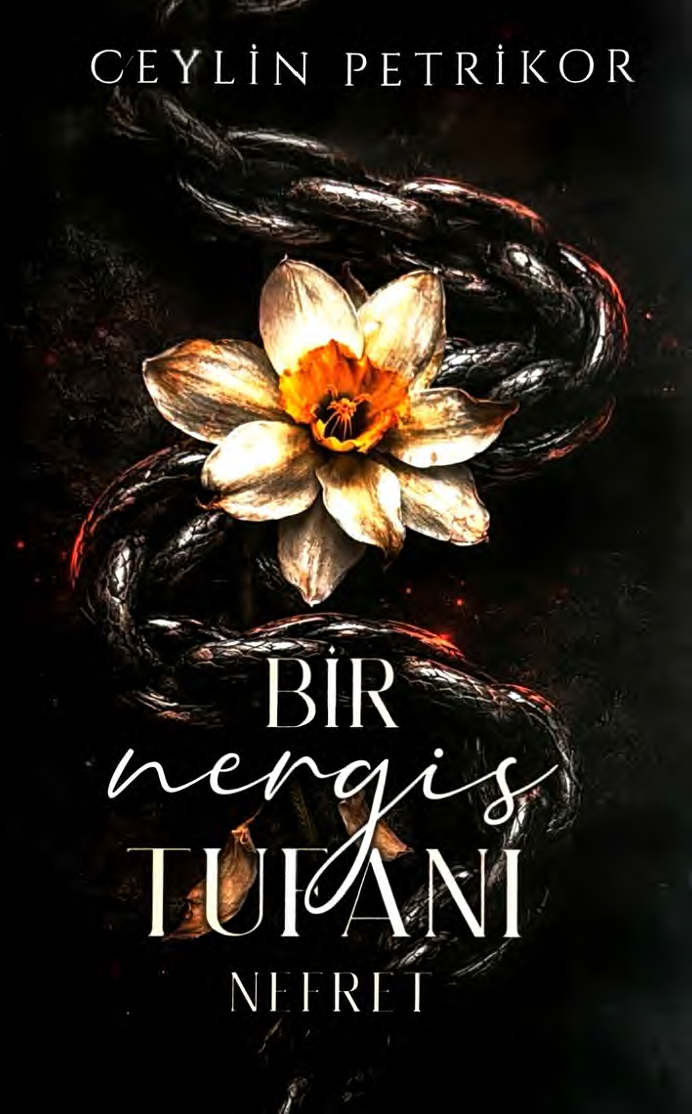 BIR NERGIS TUFANI  NEFRET CEYLIN PETRIKOR (ZM).N