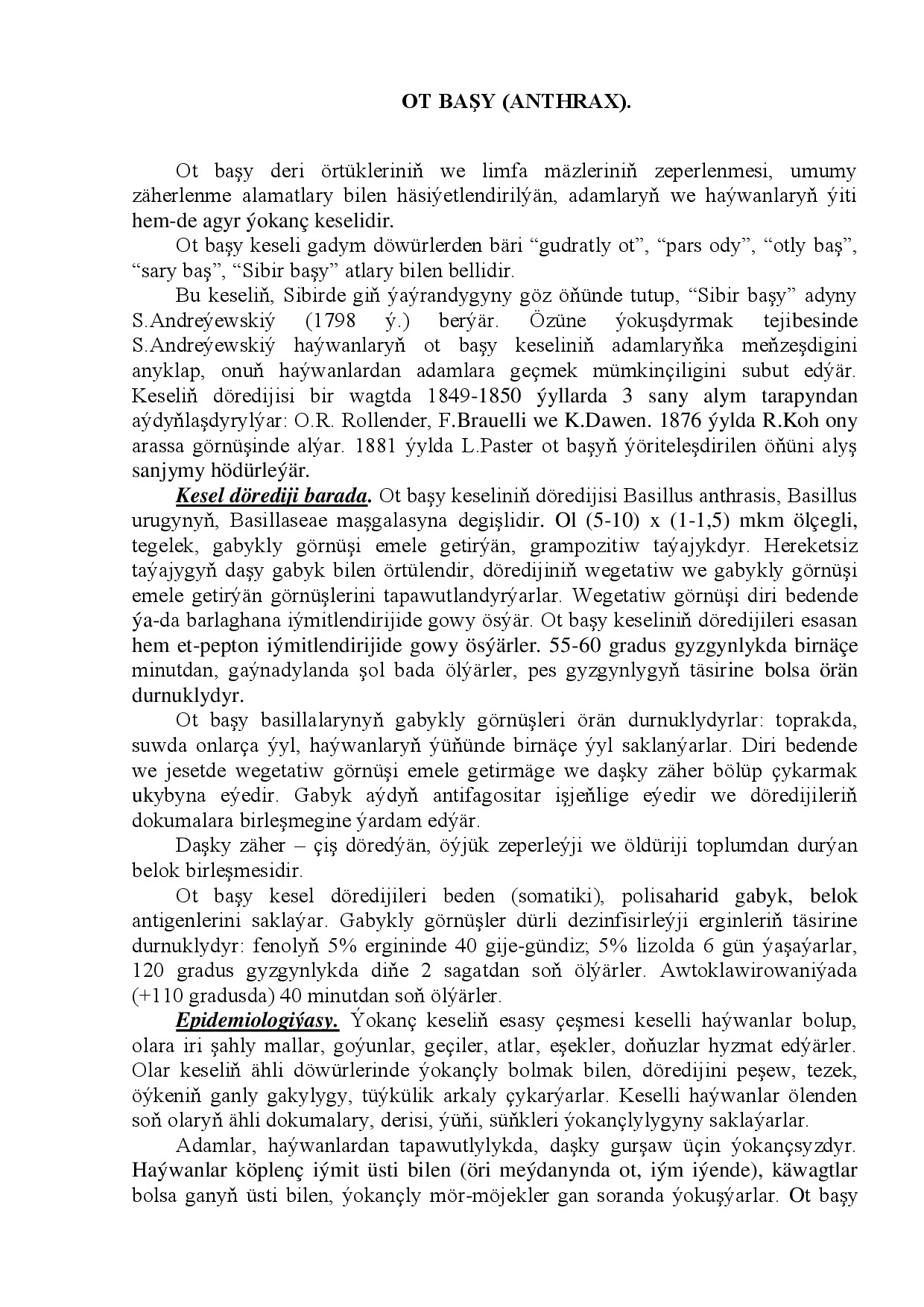 OT BAŞY