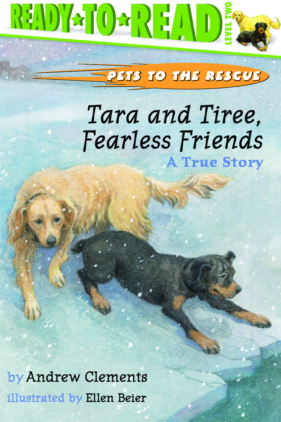 A TRUE STORY READY TO READ LEVEL 2 BY CLEMENTS ANDREW