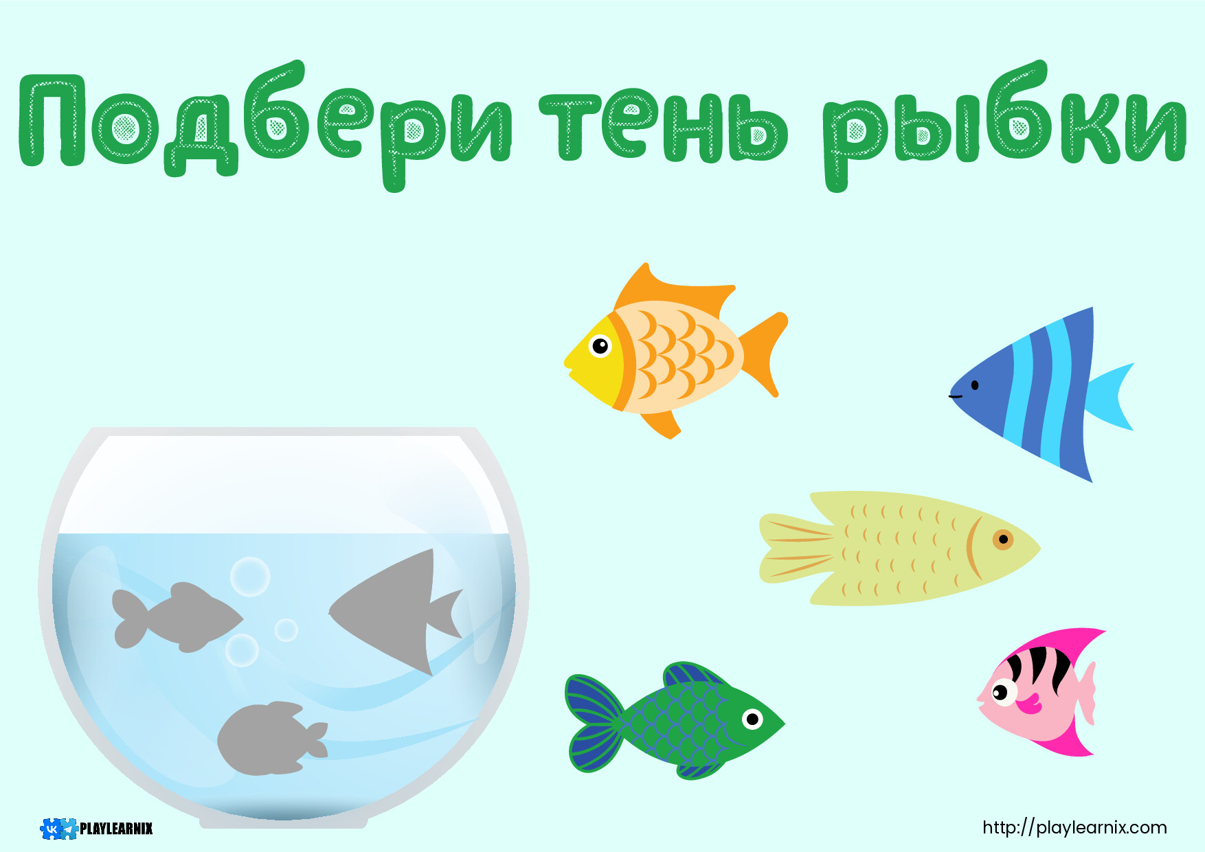 АКВАРИУМ РЫБКИ ТЕНИ