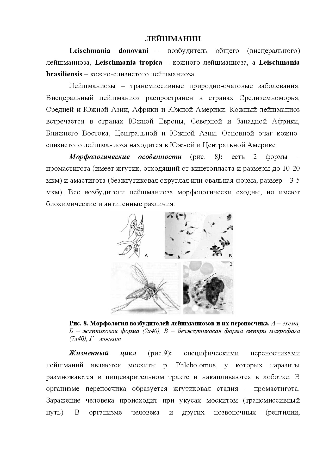 ЛЕЙШМАНИИ (LEISCHMANIA)