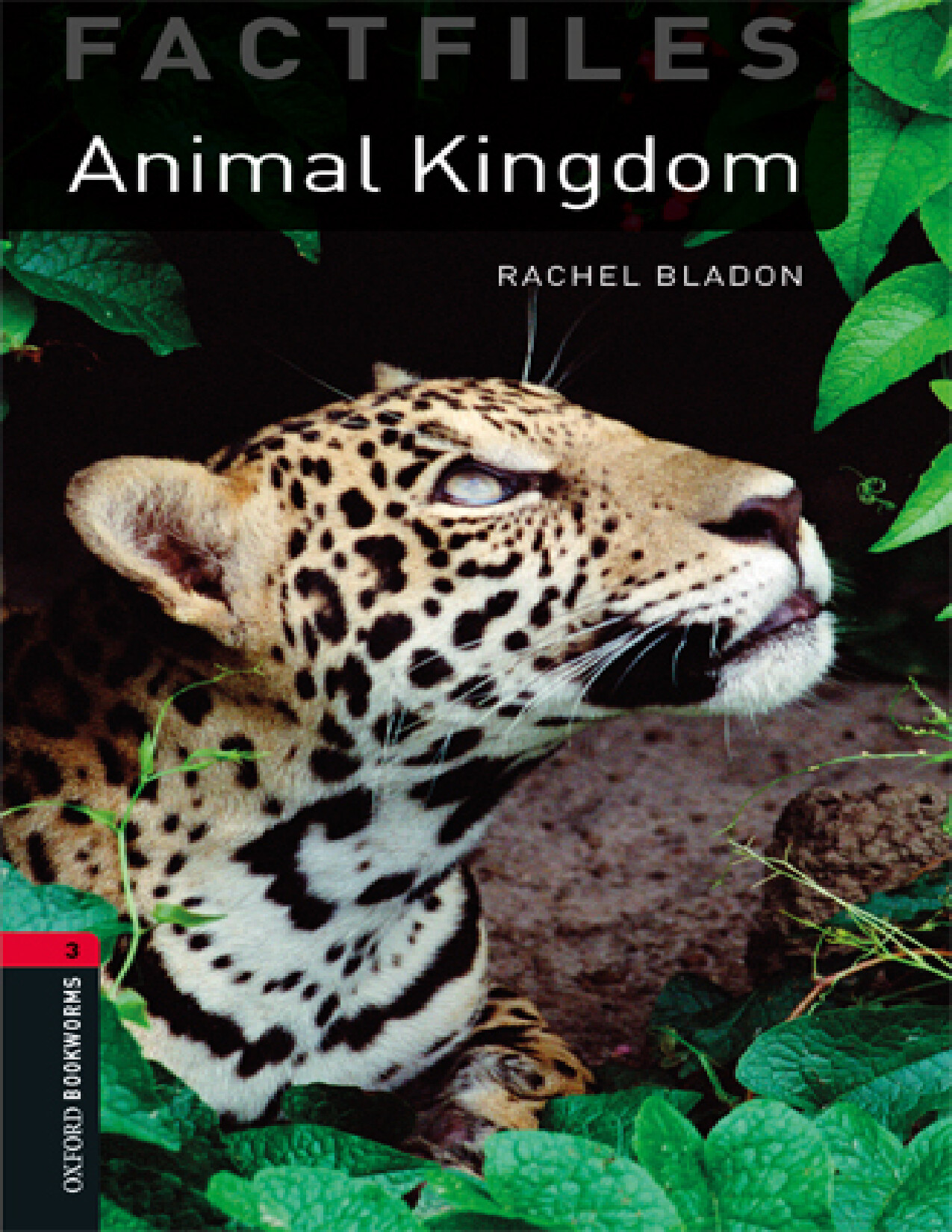 THE ANIMAL KINGDOM RACHEL BLADON