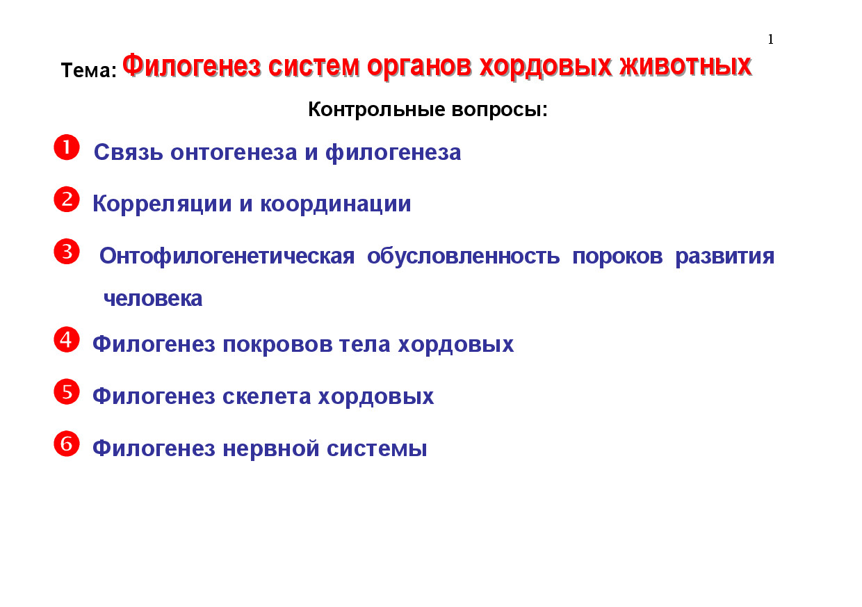 2.05.ФИЛОГЕНЕЗ СИСТЕМ ОРГАНОВ ХОРДОВЫХ ЖИВОТНЫХ 1