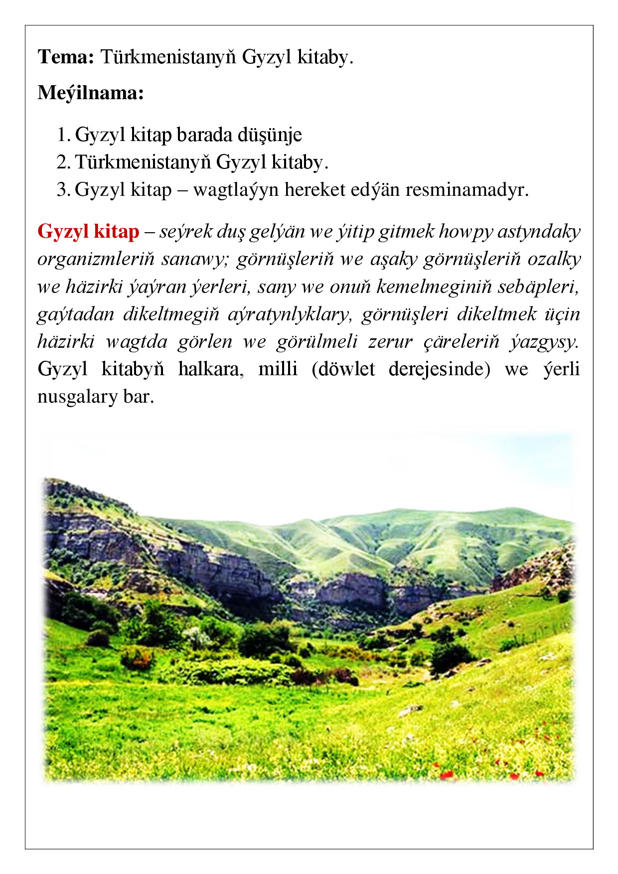 REFERAT GYZYL KITAP