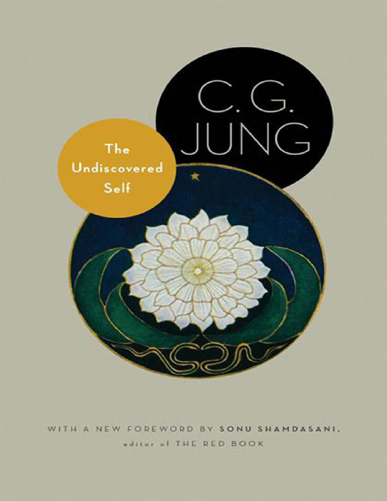 THE UNDISCOVERED SELF BY C G JUNG   C G JUNG
