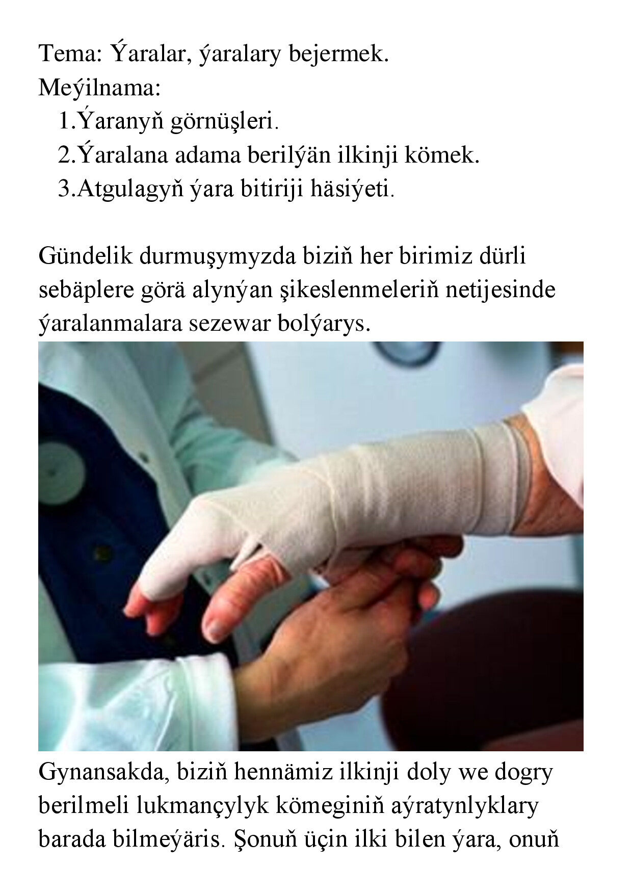 REFERAT ÝARALAR