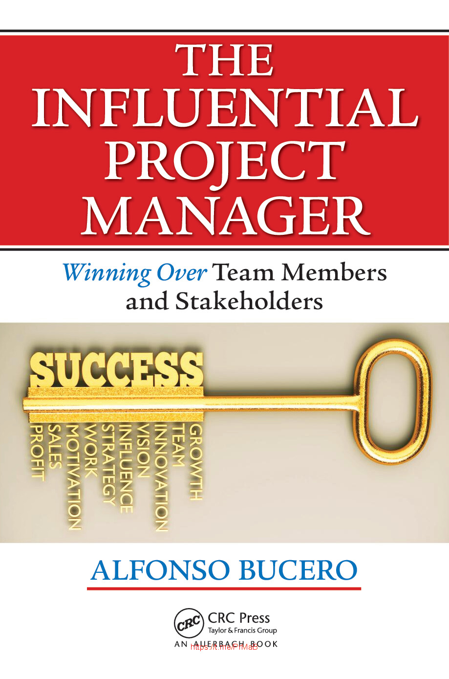 THE INFLUENTIAL PROJECT MANAGER