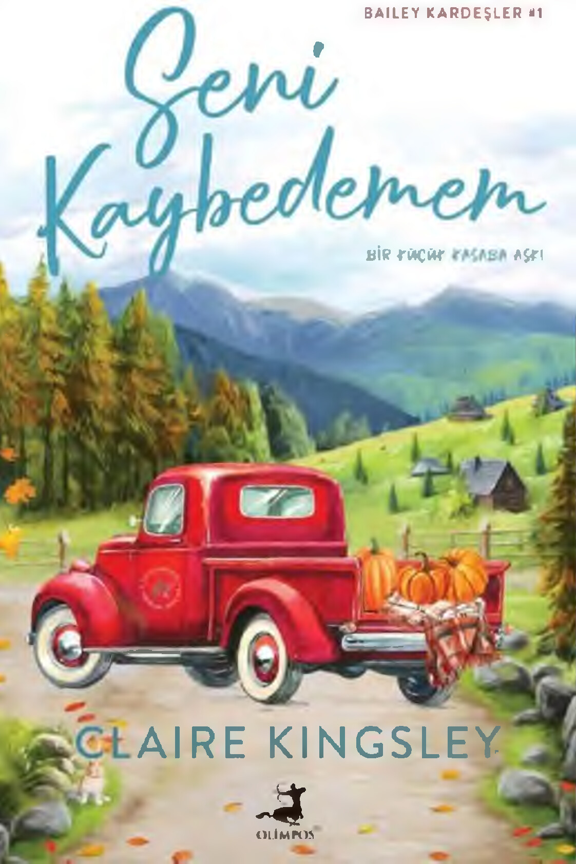 SENI KAYBEDEMEM