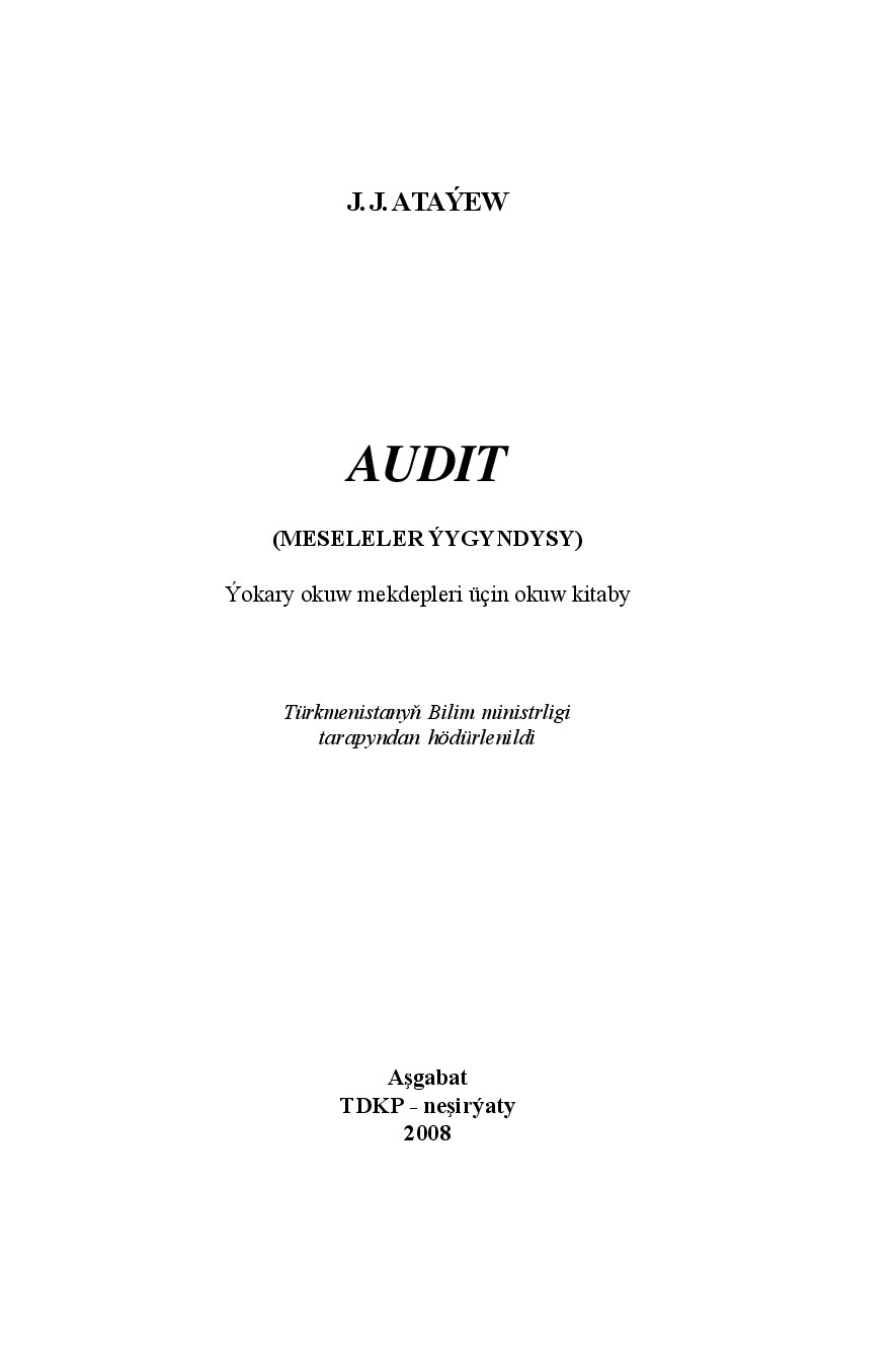AUDIT (MESELELER ÝYGYNDYSY)