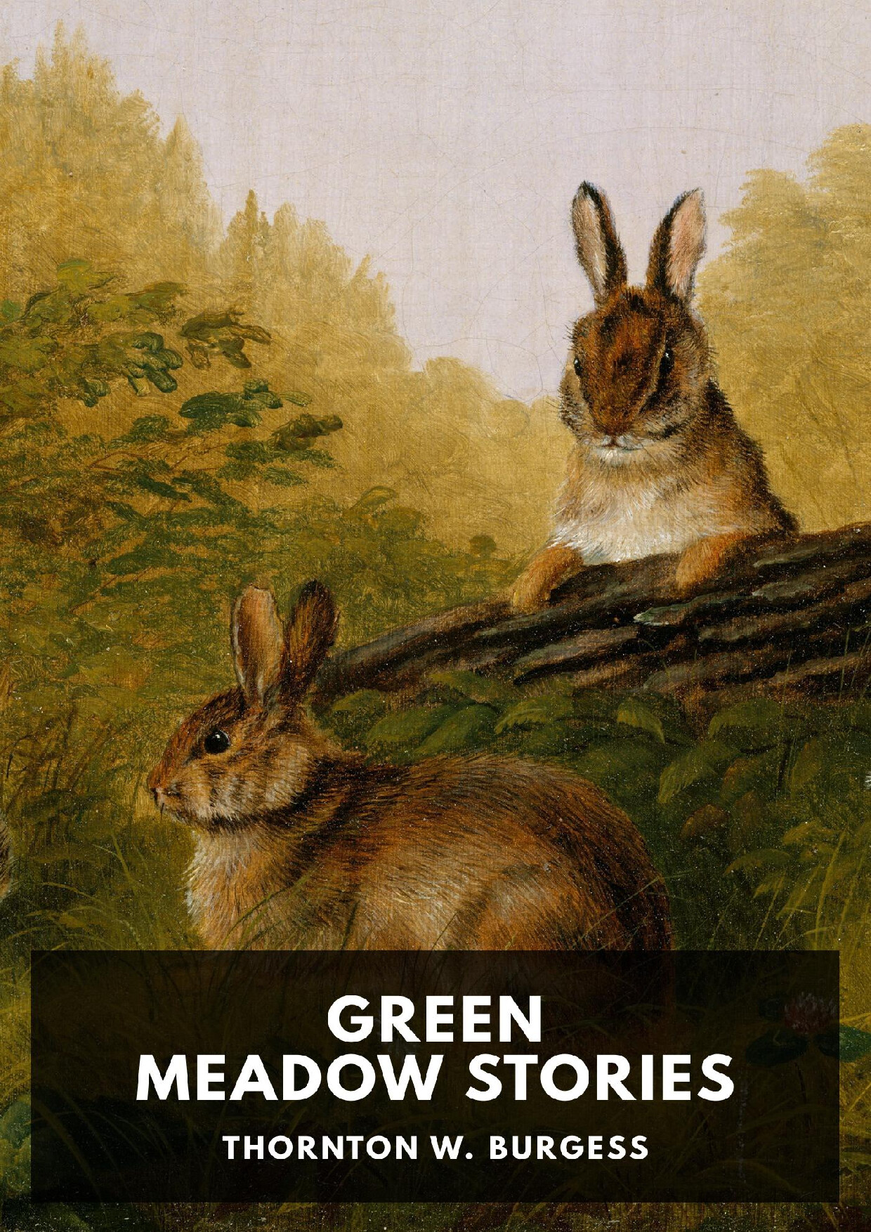 GREEN MEADOW STORIES   THORNTON W. BURGESS