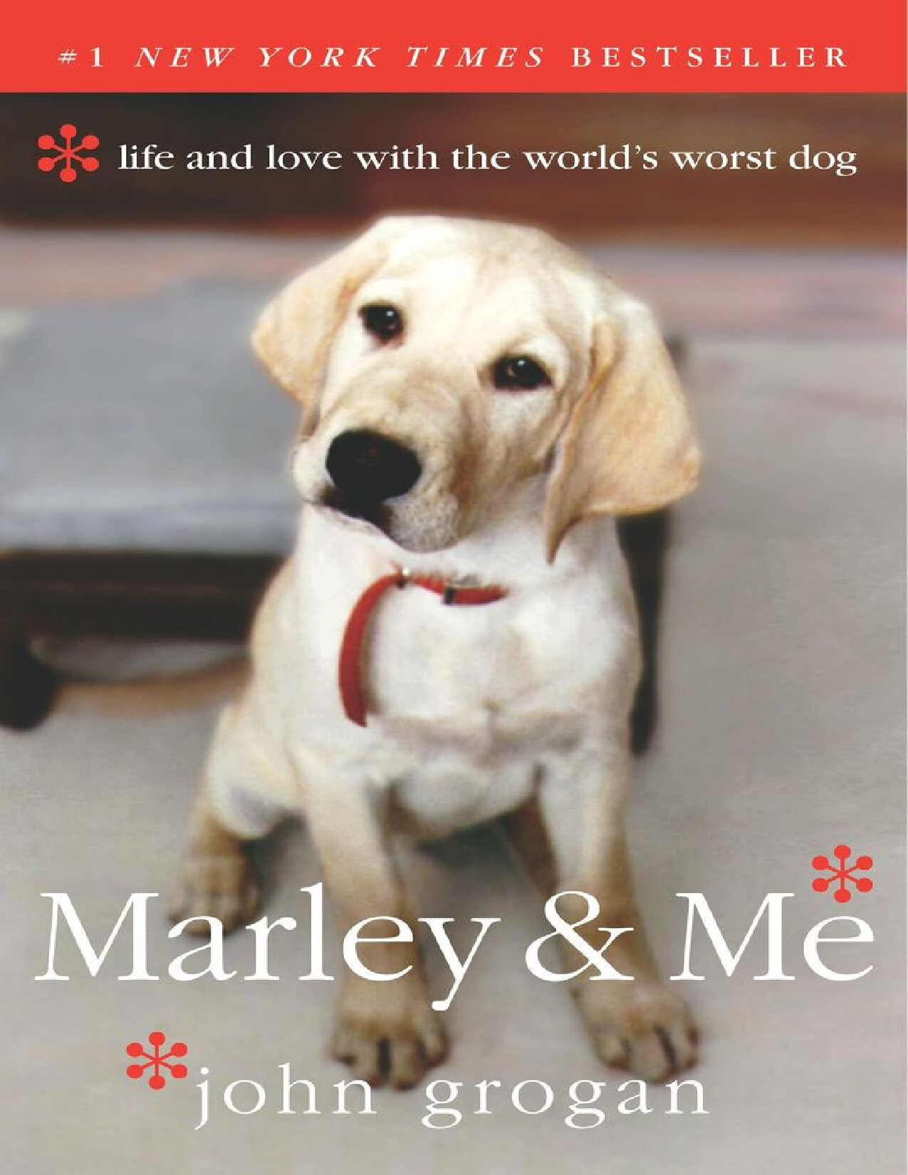 MARLEY AND ME JOHN GROGAN