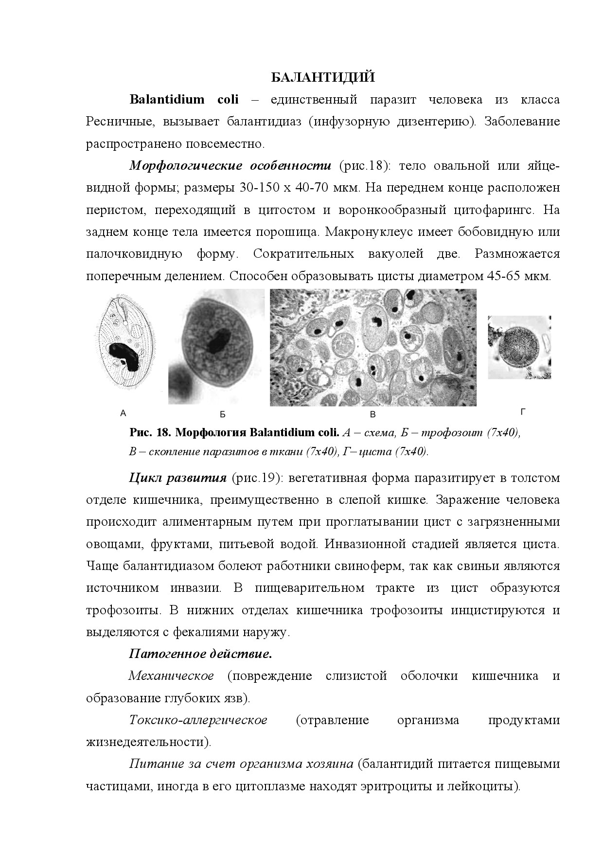 БАЛАНТИДИЙ (BALANTIDIUM COLI)