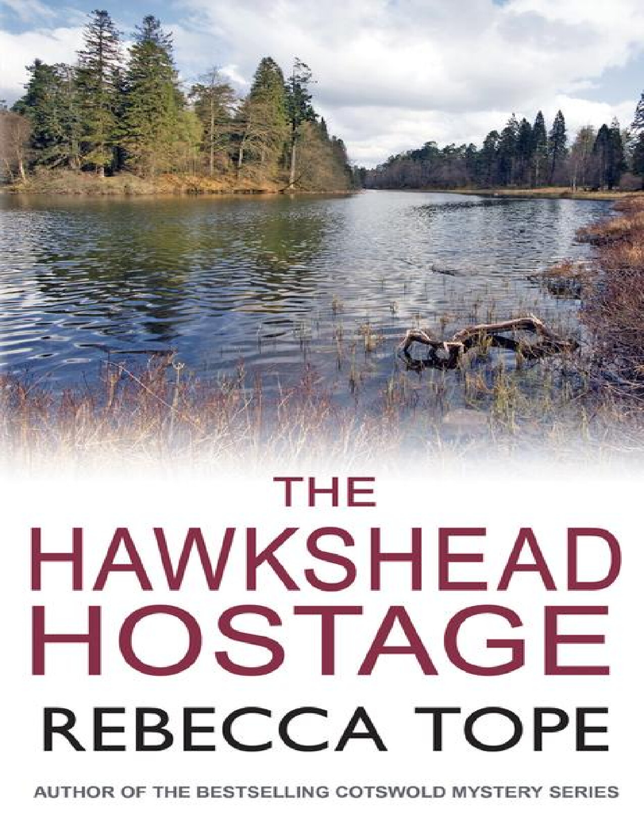 THE HAWKSHEAD HOSTAGE   REBECCA TOPE