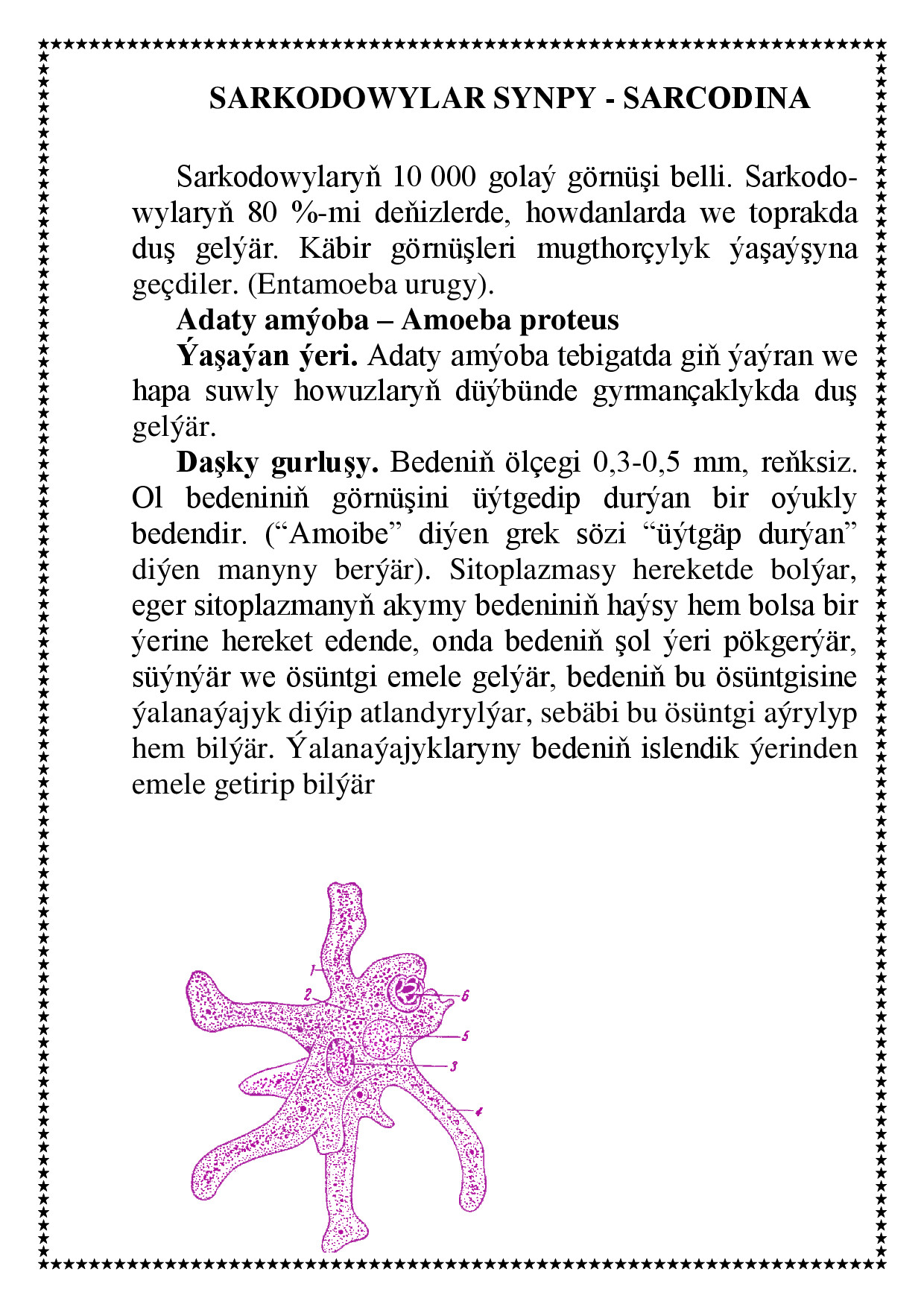 REFERAT SARKODOWYLAR SYNPY