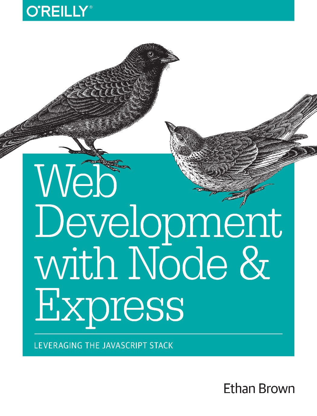Web Development With Node Express