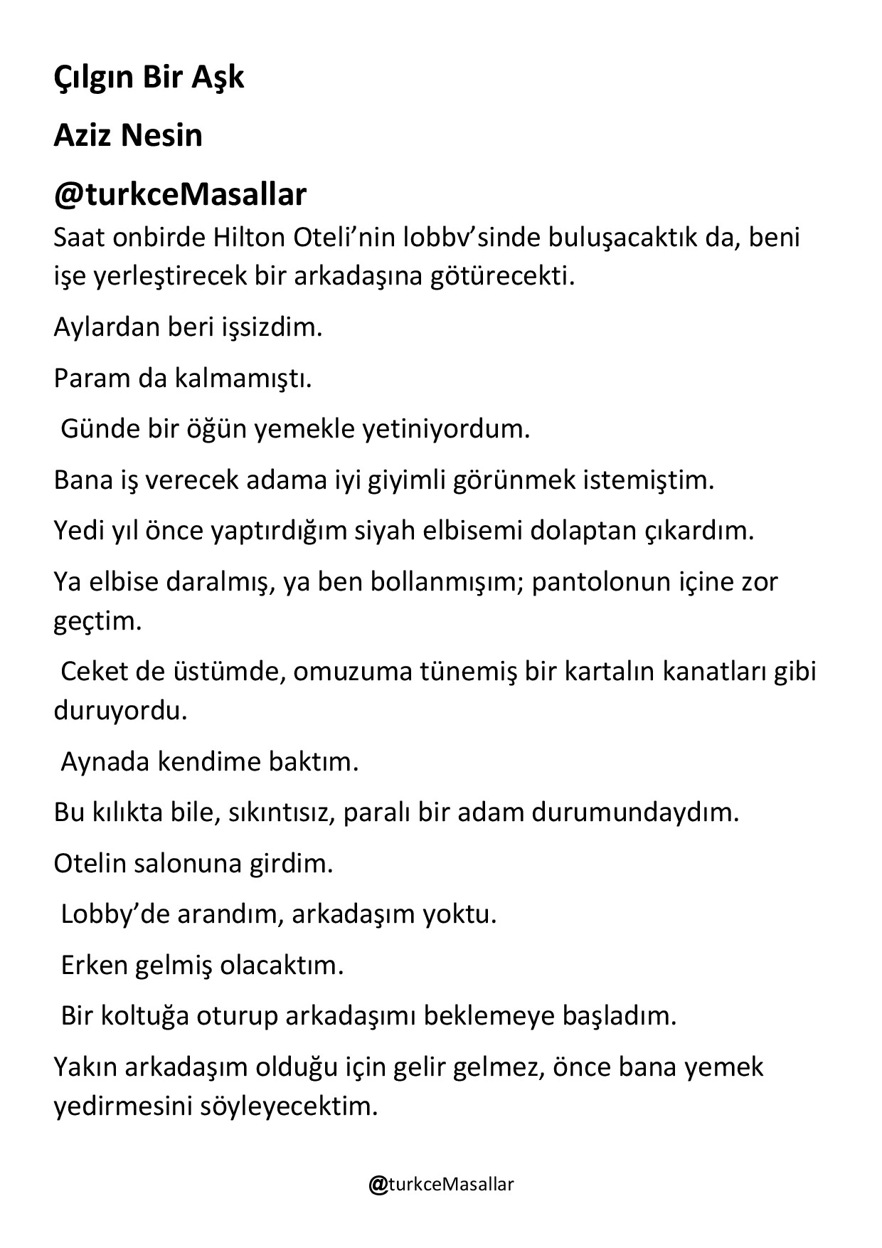 ÇILGIN BIR AŞK