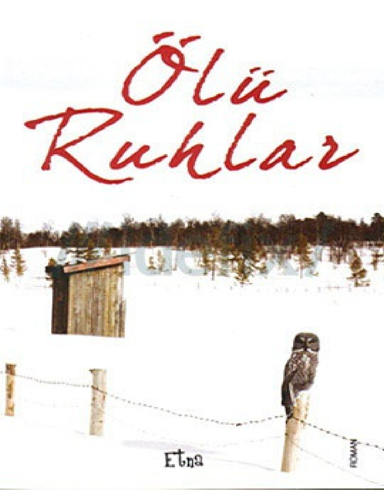 ABBAS MAROUFI   ÖLÜ RUHLAR (1)