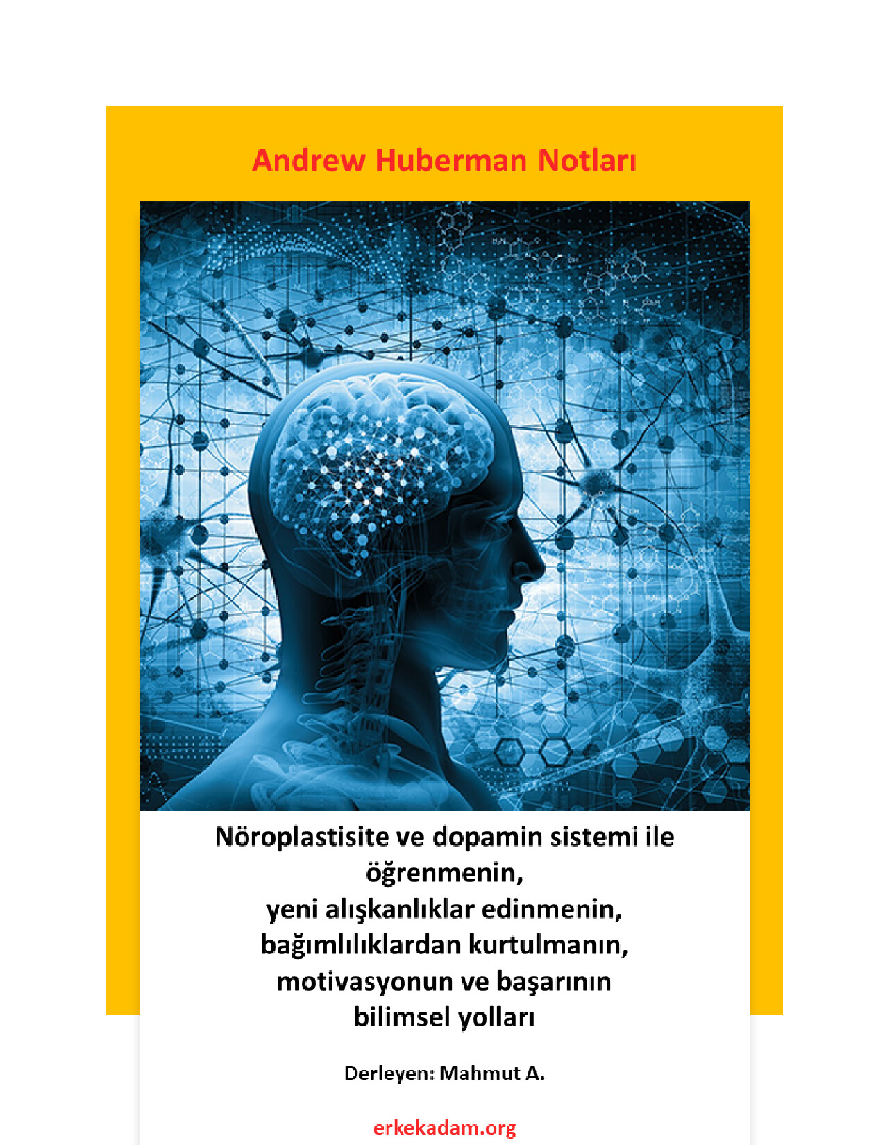 ANDREW HUBERMAN NOTLARI 1