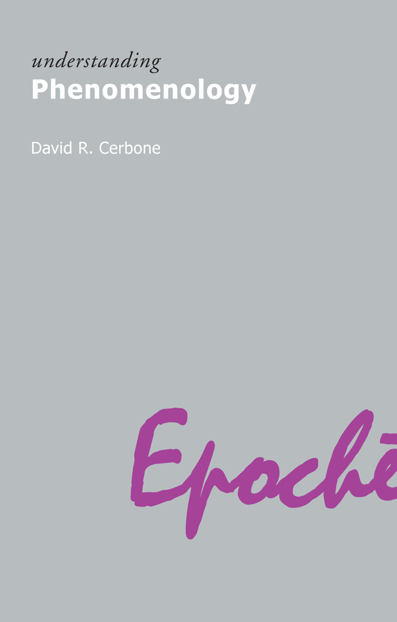 UNDERSTANDING PHENOMENOLOGY DAVID