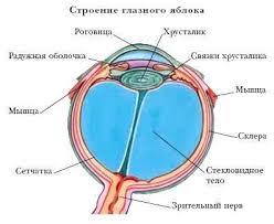 ESID