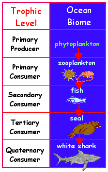 INTERACTIONS OF LIFE COMMUNITIES 1