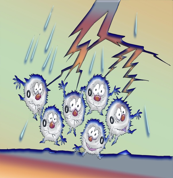 KISLOROD