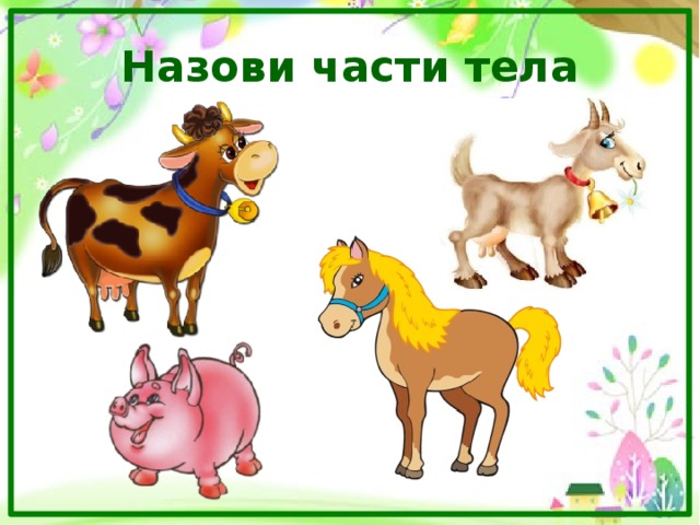 Oy haýwan
