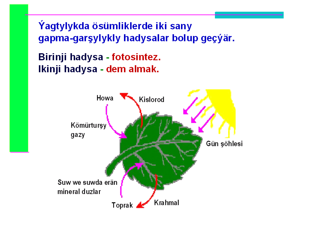 FILE3