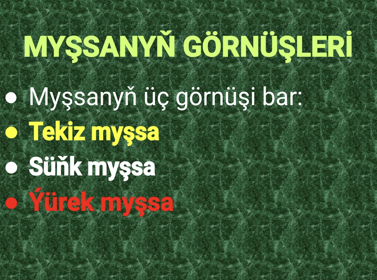 MYŞSALAR